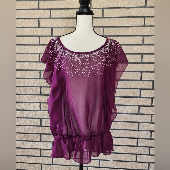 Lane Bryant Tops - Lane Bryan Sheer Blouse 14/16W